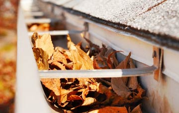 Queensville gutter cleaning companies